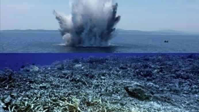 Conservación de los corales, pesca con dinamita