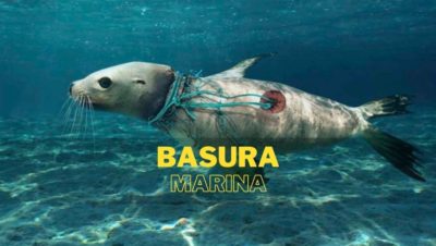 Basura Marina Basura Marina