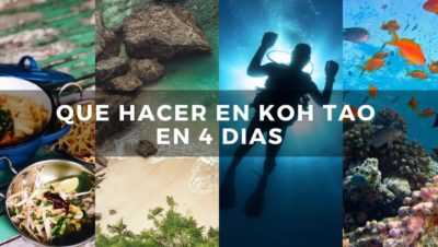 que hacer en koh tao que hacer en koh tao