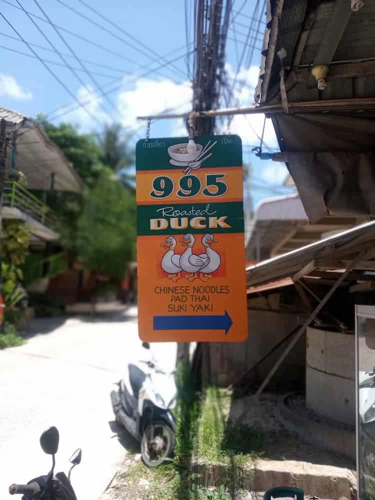 comer pato en koh tao
