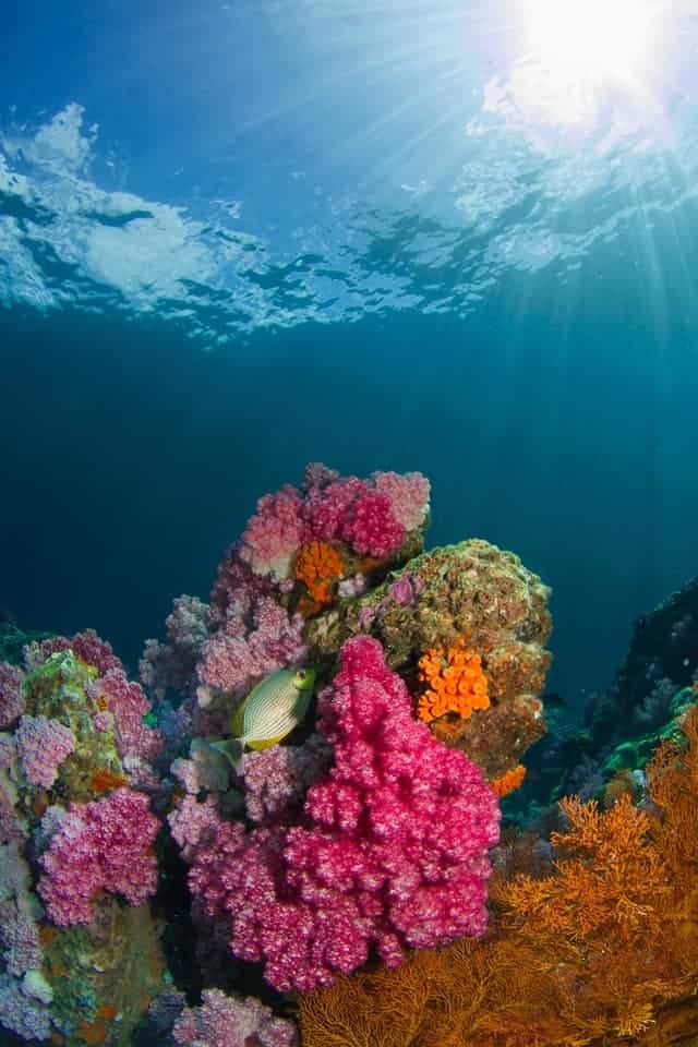 Koh Lipe Tailandia