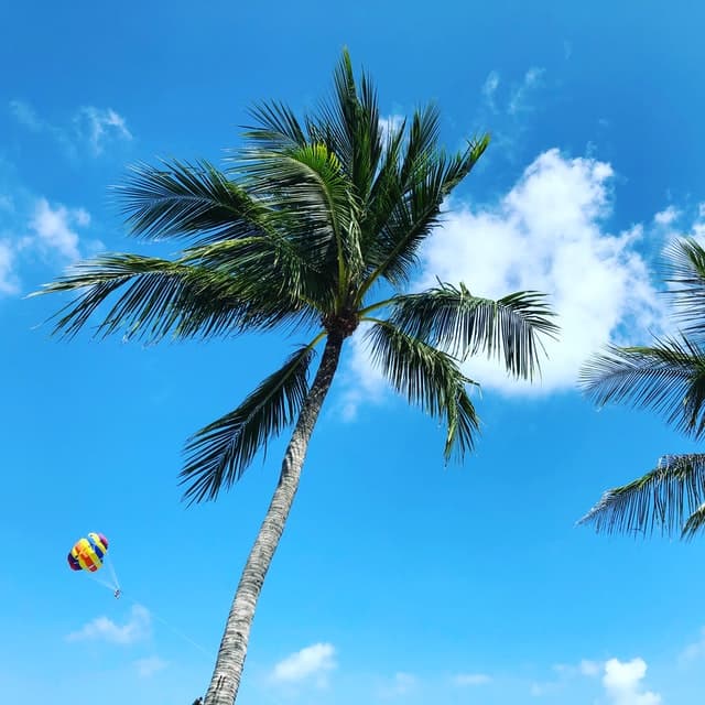 Koh samui beach