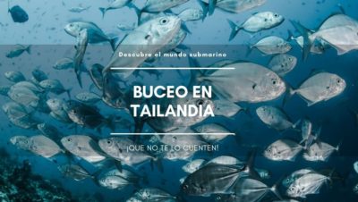 Buceo en Tailandia Buceo en Tailandia