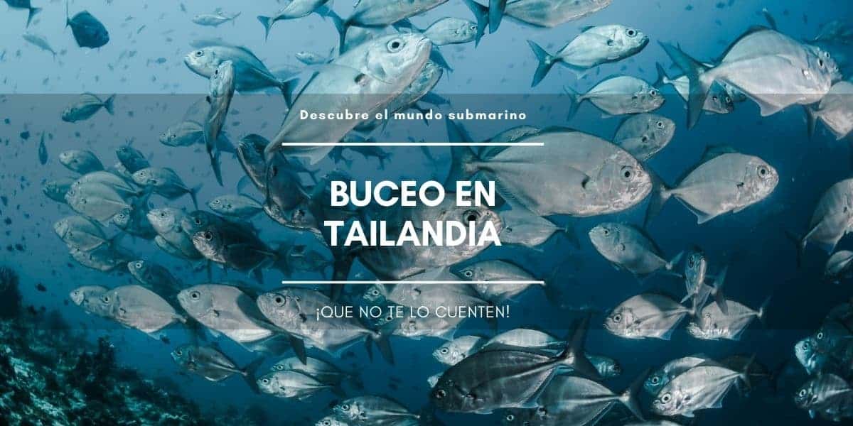 Buceo en Tailandia Buceo en Tailandia